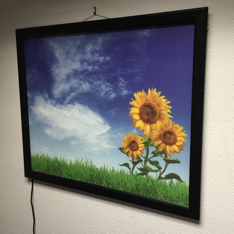 LED Light Box 