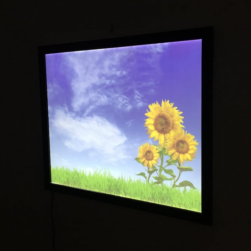 LED Light Box 