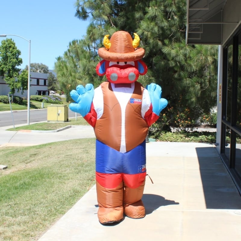 Custom Inflatable Costumes and Mascots