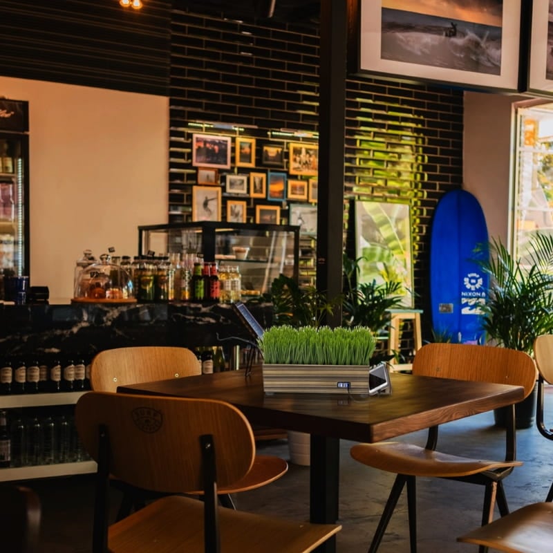 Decorative Plant Charging Station for Restaurant