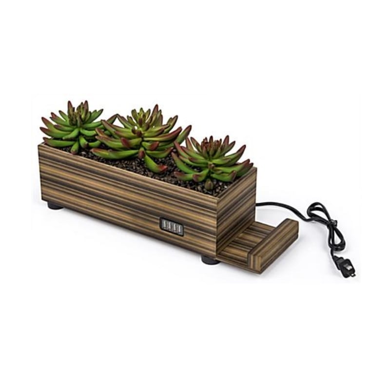 Electronic Device Charging with Plant