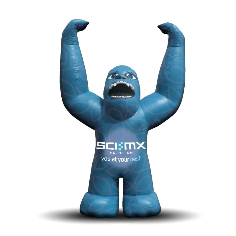 Custom Giant Inflatables 