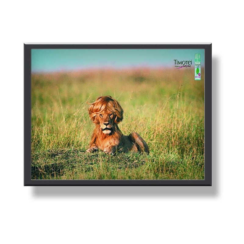 Custom Display LED Light Box