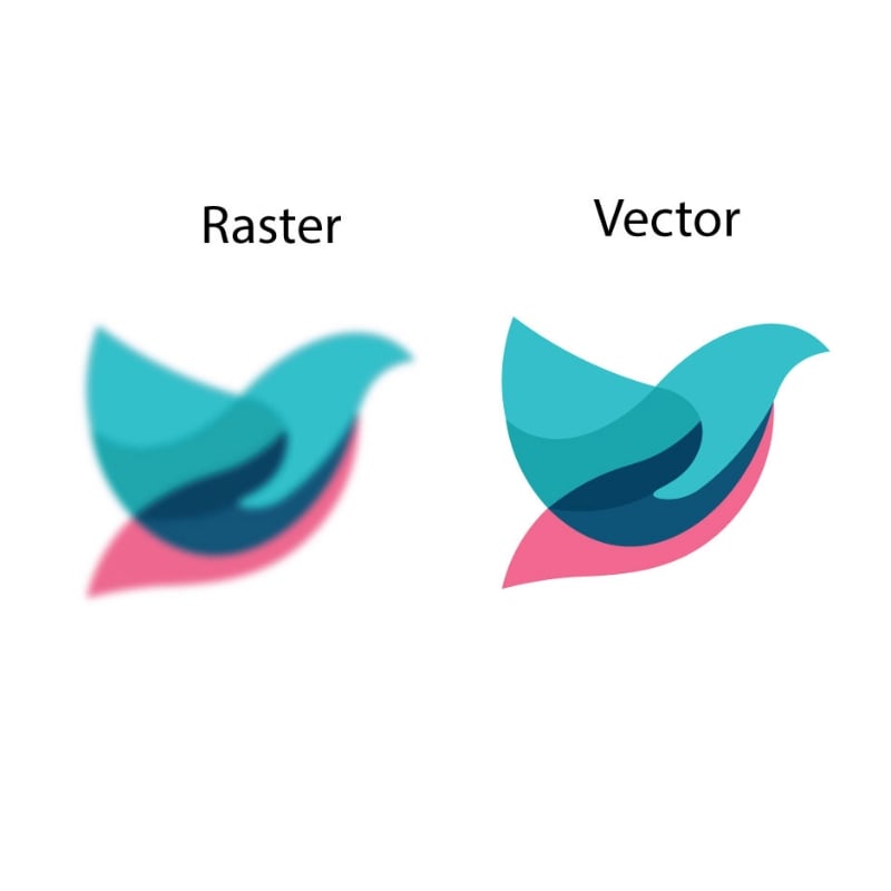 Raster and Vector Logo Creation
