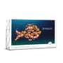 Custom Event Backdrop Wall Display - Flat Back Wall