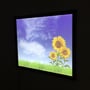 LED Light Box 