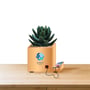 Decorative Charging Station for Multiple Devices - USB Charging Hub
