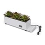 Decorative Charging Station for Multiple Devices - USB Charging Hub