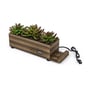 Decorative Charging Station for Multiple Devices - USB Charging Hub