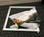 Silka™ SEG Frame