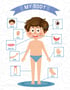 ABA Tex My Body Chart Chart Wall Poster