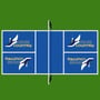 Custom Printed Pickle Ball Court