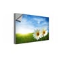 Wall Mural, Adhesive Vinyl