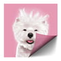 Custom Window Cling - Window Decals for Business