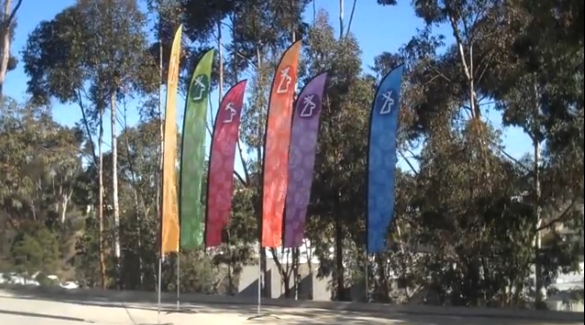 banners and flags